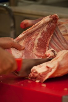 La preaparazione - TOMATISFOOD MEAT  QUALITY