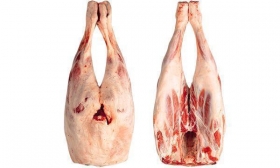 Legs - TOMATISFOOD MEAT  QUALITY